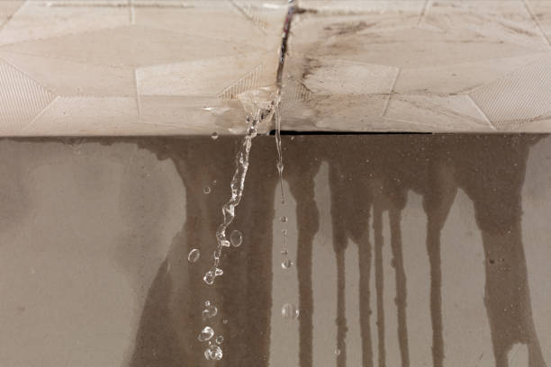 Professional Water Extraction technician working in Hartford, MI
